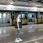 Customized Large Capacity High Quality Black Classic Fashion Shopping Bag Travel Shoulder Tote Bag Women's Handbags for Work - Image 6